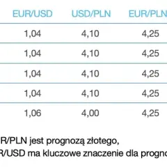 Ile kosztuje euro NBP? Sprawdź aktualny kurs i prognozy zmian