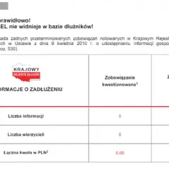 Jak sprawdzić krajowy rejestr zadłużonych i uniknąć finansowych problemów