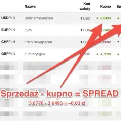 Czy można kupić walutę w NBP? Co musisz wiedzieć o wymianie walut