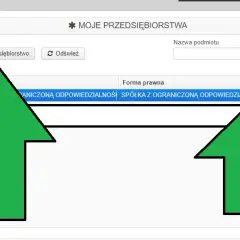Co po rejestracji spółki w KRS? Kluczowe kroki, aby uniknąć problemów