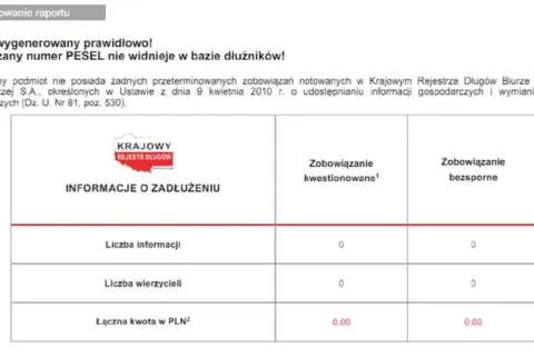 Jak sprawdzić krajowy rejestr zadłużonych i uniknąć finansowych problemów